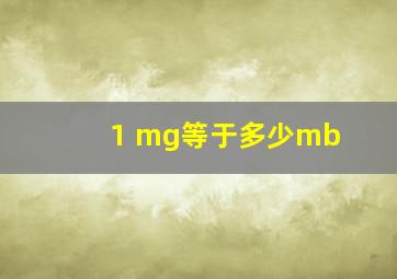 1 mg等于多少mb